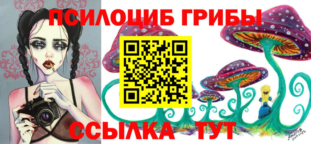 Альметьевск  Галлюциногенные грибы Psilocybine cubensis  Псилоцибиновые грибы Psilocybe  Вход с VPN 